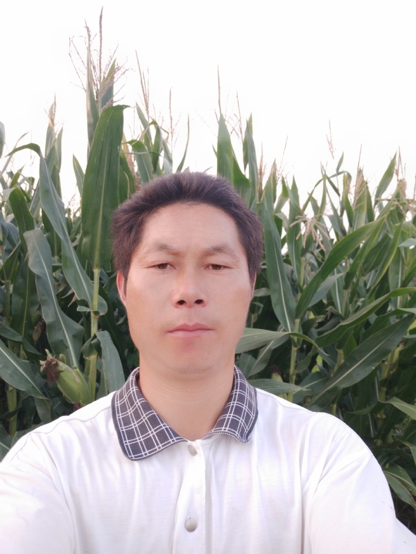 四海游龙的第一张照片--周宁相亲网
