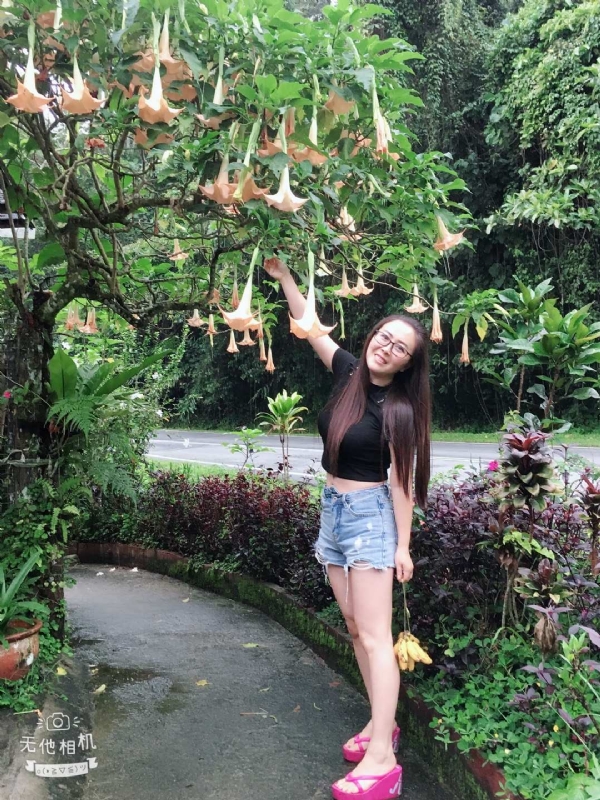 离异单身无子的第二张照片--周宁相亲网