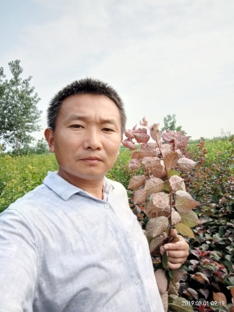 孩子爸的第一张照片--周宁相亲网
