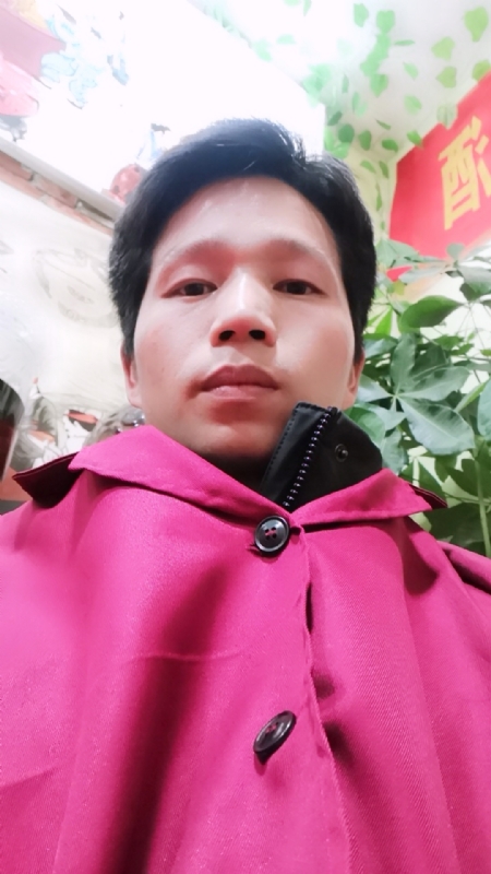 单身的林凡的第一张照片--周宁相亲网