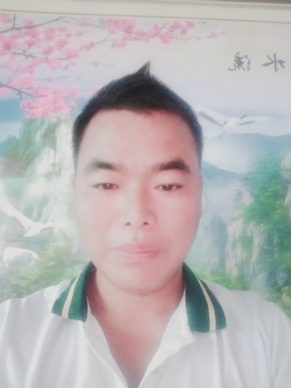 阳光男孩的第二张照片--周宁相亲网